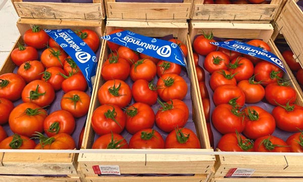 Tomates en cajas de madera de Naturinda. /joseantonioarcos.es