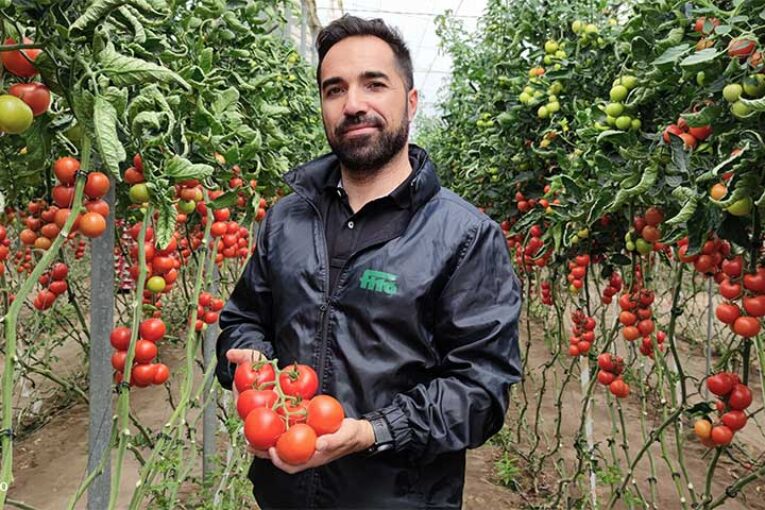 Tomate Ateneo llega al millón de toneladas
