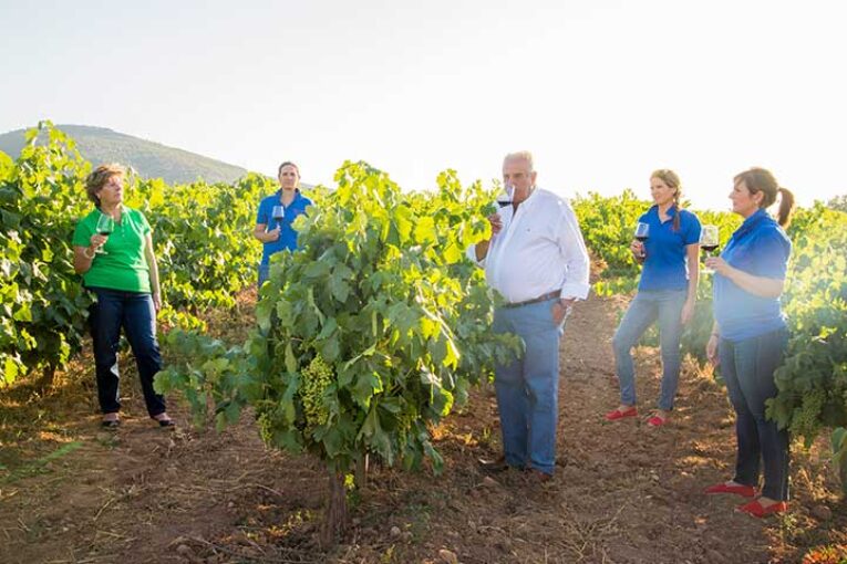 Cepa Bosquet se alza con 9 medallas en el Concurso de Vinos Mezquita