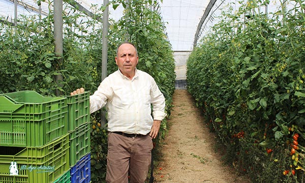 Cecilio Fernández, agricultor de Vícar. /joseantonioarcos.es