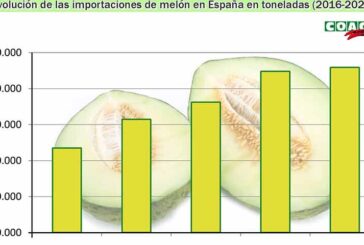 Coag denuncia fraude en el etiquetado de melón brasileño por español