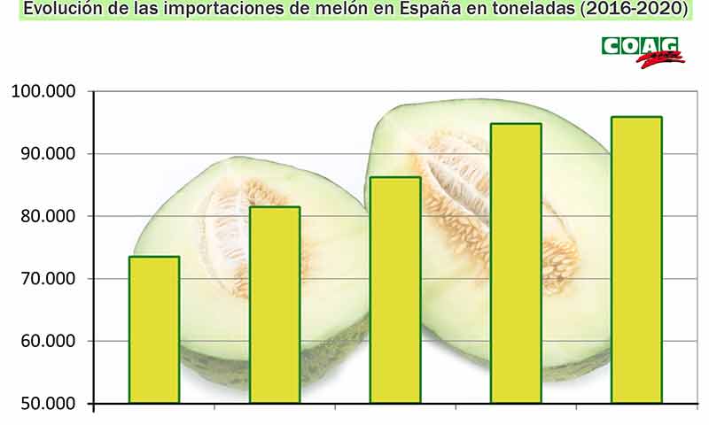 Coag denuncia fraude en el etiquetado de melón brasileño por español