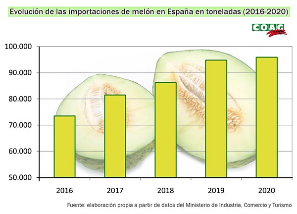 Gráfico elaborado por Coag sobre la importación española de melón. /joseantonioarcos.es