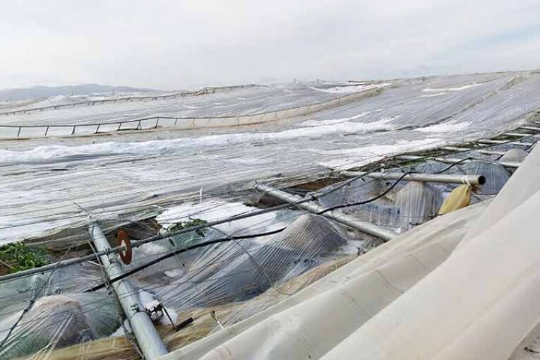 Los afectados por el granizo de Níjar se quedan sin rebaja fiscal