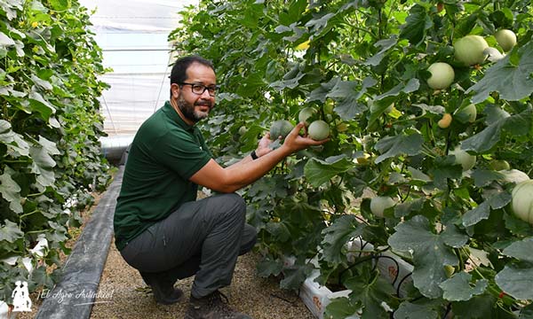 Juan Lizarzaburu, mejorador de melón y sandía de KWS Group. /joseantonioarcos.es
