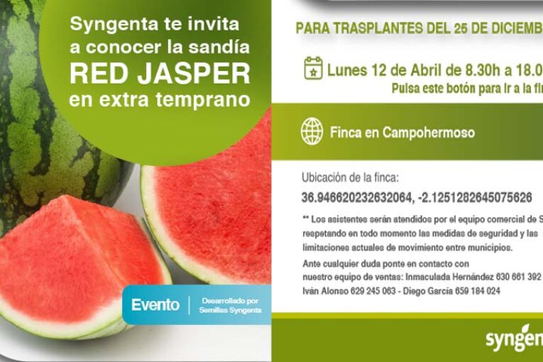 Día 12 de abril. Sandía Red Jasper en extra temprano