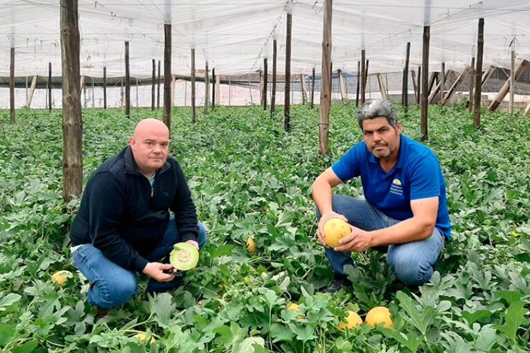 Grazalema es el nuevo galia de Fitó