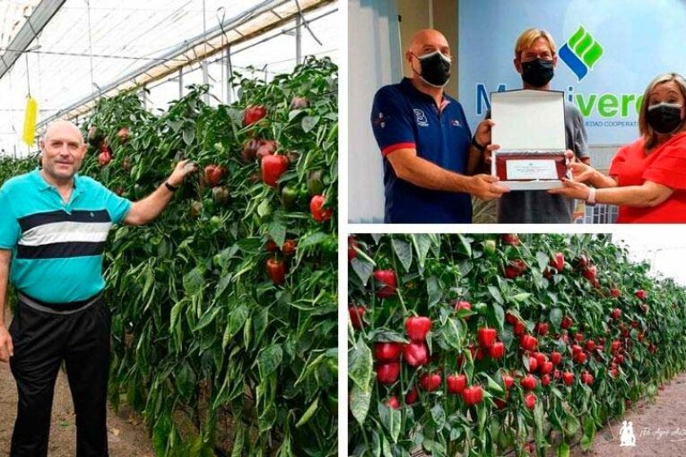 Murgiverde reconoce al agricultor que más kilos corta de Machado
