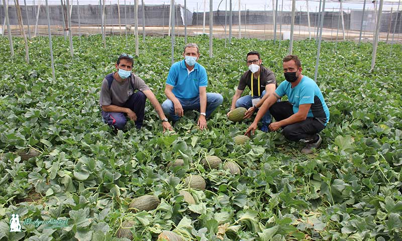 Agricultores y técnicos de Adra en las jornadas de melón Valdemar de HM.Clause. /joseantonioarcos.es
