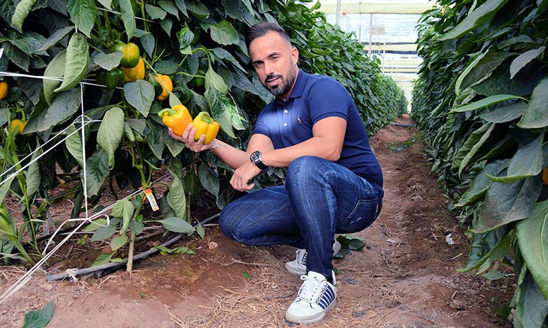 Bio Campojoyma completa con Murcia 12 meses de pimiento bio-Agro Auténtico