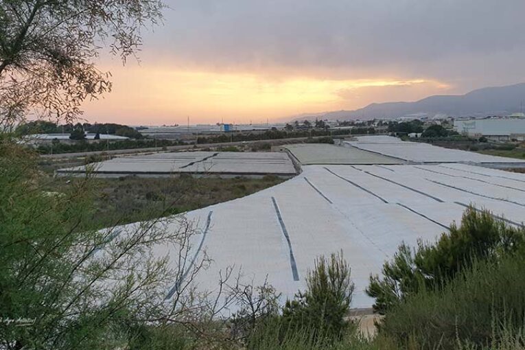 ¿Echa el campo en falta a Bernabé?