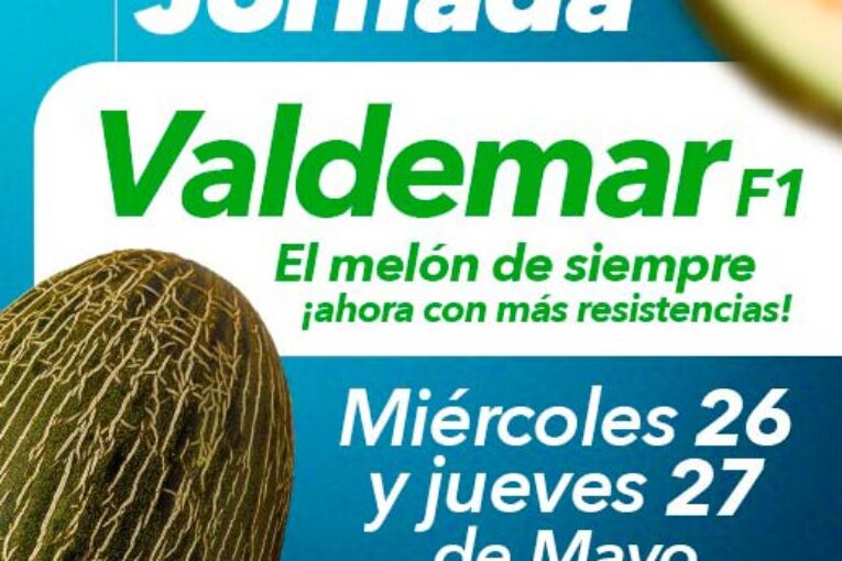 Días 26 y 27 de mayo. Jornadas de melón de HM Clause