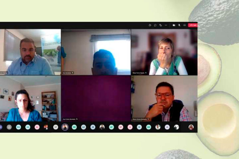 Un webinar de Valagro aborda la mejora de rendimientos en aguacate