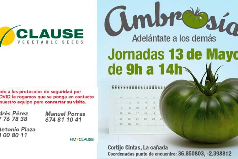 Día 13 de mayo. Jornada de Ambrosía de HM Clause
