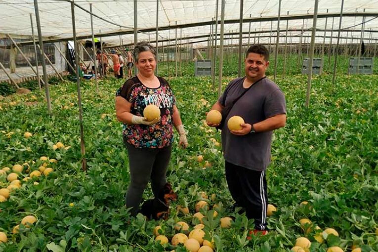 El aguante en campo del melón Besodoble