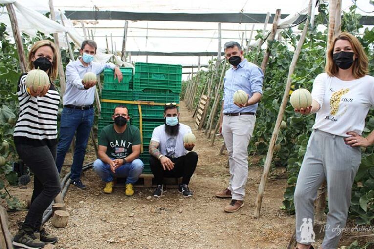 Entutorado de melón con el cantaloup Festival