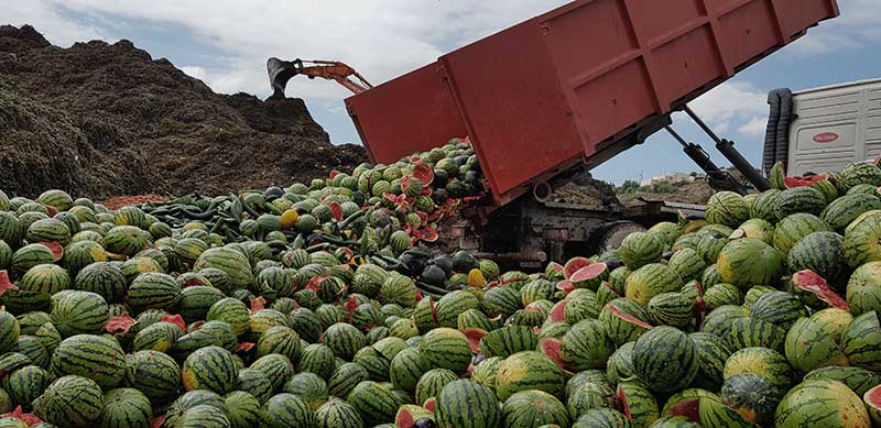 Acción desesperada del sector ante la ruinosa campaña de melón y sandía-joseantonioarcos.es