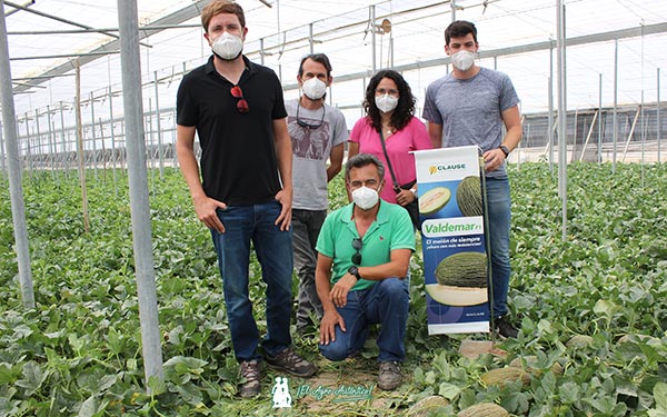 Técnicos de Agrupaadra en la jornada de melón piel de sapo Valdemar. /joseantonioarcos.es