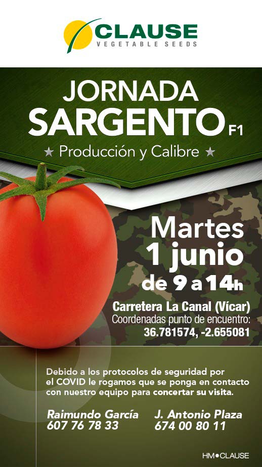 Tomate Sargenta de HM Clause-Agro Autétnico