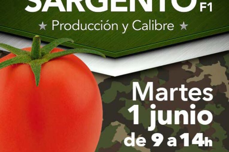 Día 1 de junio. Jornada de tomate Sargento de HM Clause