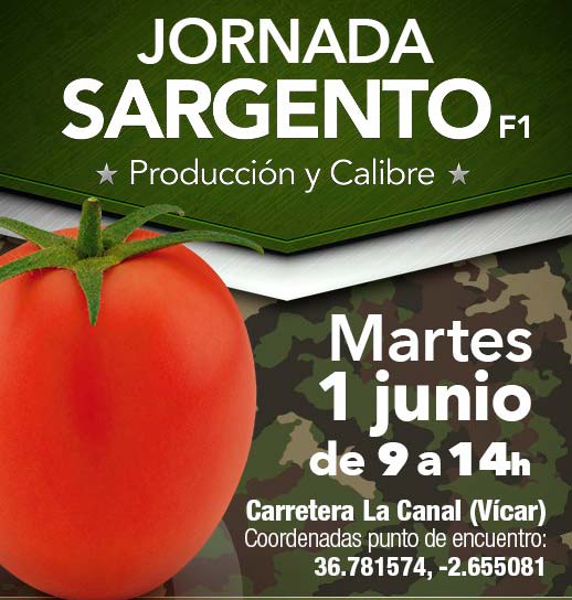 Día 1 de junio. Jornada de tomate Sargento de HM Clause