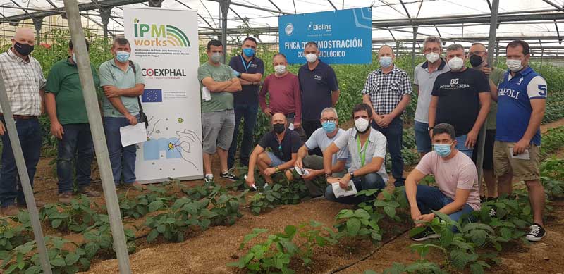 Bioline Iberia y Única Group participan con sus auxiliares y finca experimental en el proyecto IPMWorks de COEXPHAL-Agro Auténtico