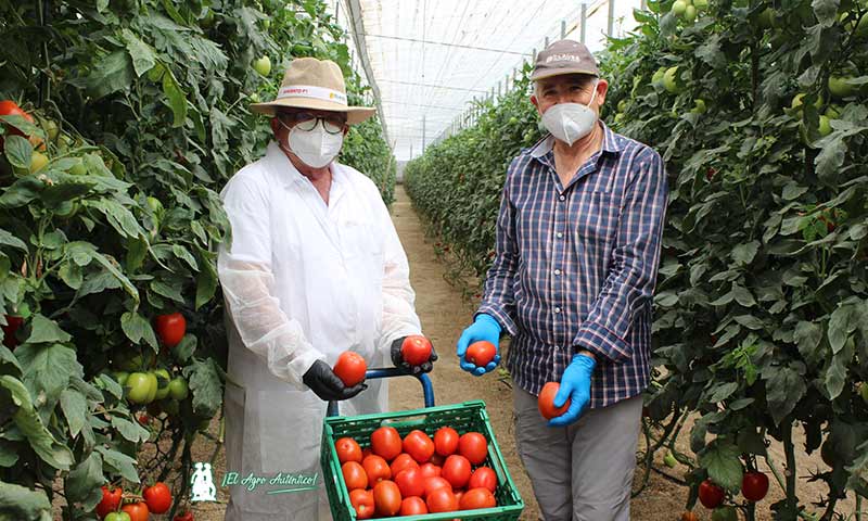 Bonifacio Sánchez y José Romero con el tomate Sargento de HM.Clause. /joseantonioarcos.es