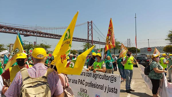 Coag Andalucía con los agricultores portugueses en Lisboa. /joseantonioarcos.es