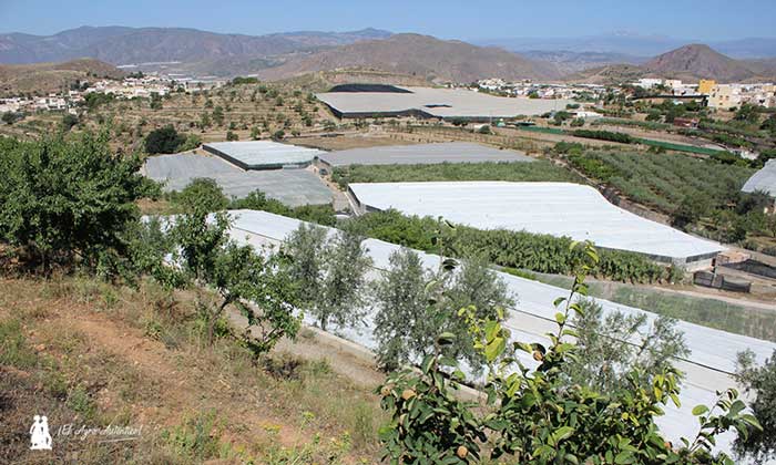 Árboles frutales e invernaderos en Berja, Almería. / joseantonioarcos.es