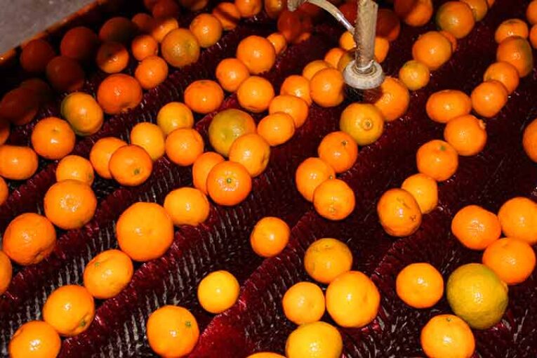 Los recubrimientos vegetales abren el mundo a la exportación de cítricos eco