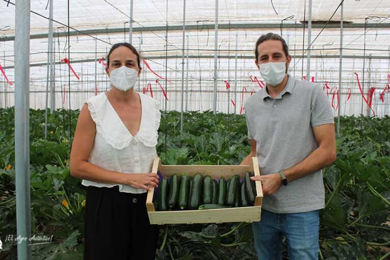 Los padres del calabacín de Rijk Zwaan resistente a Nueva Delhi