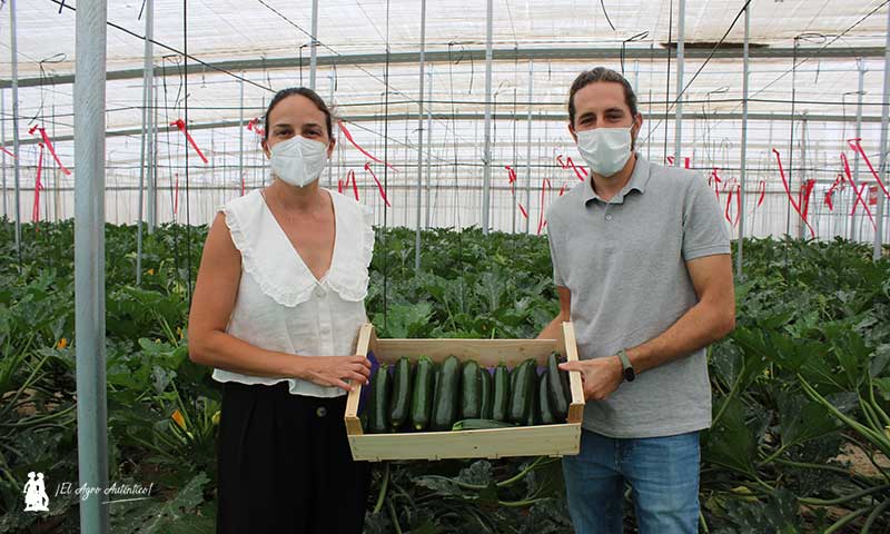 Lourdes Pérez y Pedro Navarro, mejoradores de calabacín de Rijk Zwaan. Los "padres" de las variedades resistentes al virus Nueva Delhi. / joseantonioarcos.es