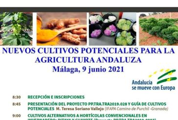 Día 9 de junio. 'Nuevos cultivos potenciales para la agricultura andaluza'