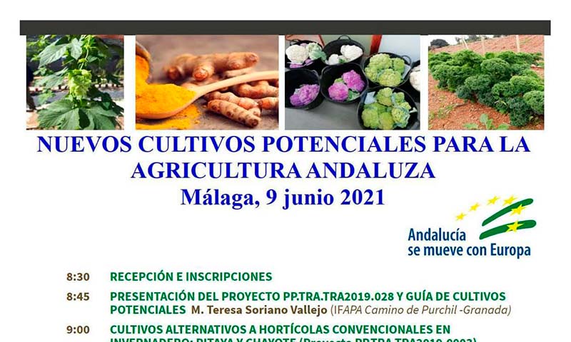 Día 9 de junio. ‘Nuevos cultivos potenciales para la agricultura andaluza’