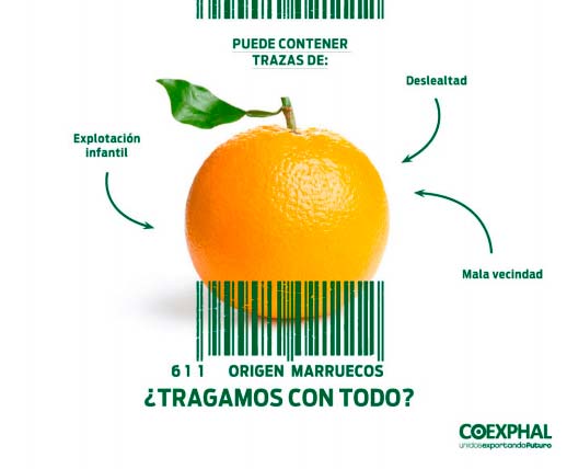 Naranjas origen Marruecos Tragamos con Todo. /joseantonioarcos.es