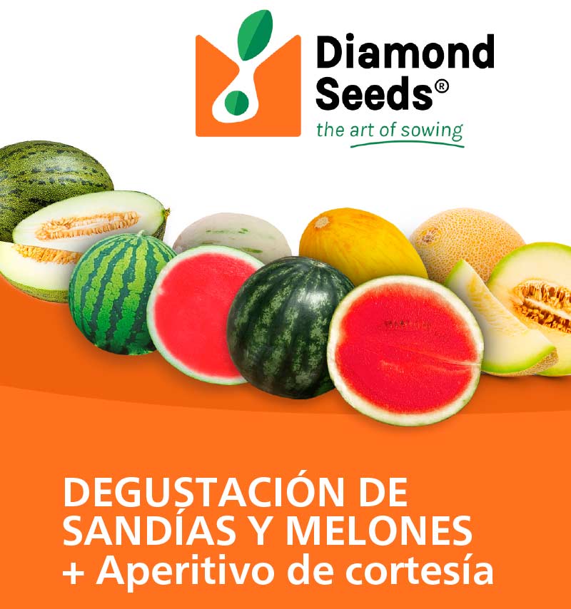 Día 15 de junio. Degustación de melón y sandía de Diamond Seeds
