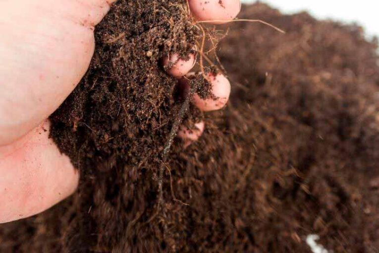 Alltech registra dos nuevos biofertilizantes basados en microorganismos