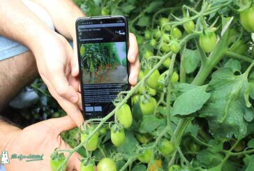 Un joven de Albuñol diseña una App para 7 cultivos de invernadero