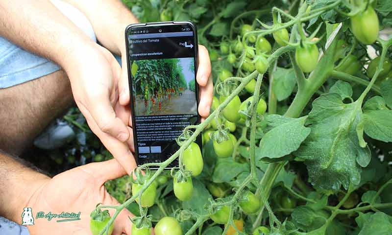 Aplicación móvil (App) cultivos de invernadero. /joseantonioarcos.es