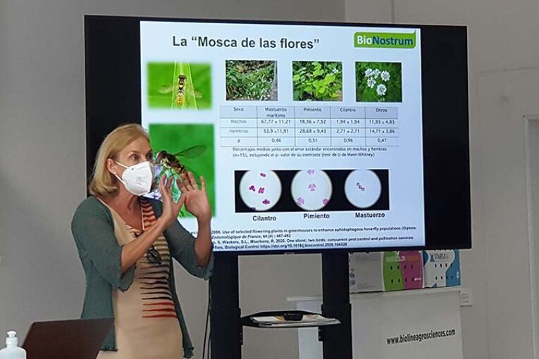 Master Class sobre sírfidos frente a pulgón con Bioline