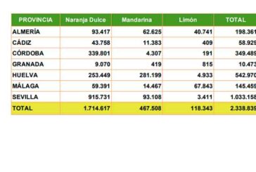 La producción de cítricos en Andalucía, provincia a provincia
