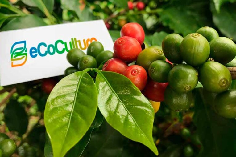 La almeriense Ecoculture hace las Américas
