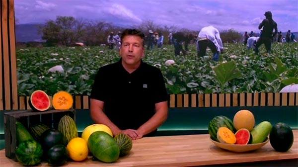 Vincent Van Wolferen, Crop Coordinator Melon & Watermelon en Rijk Zwaan. /joseantonioarcos.es