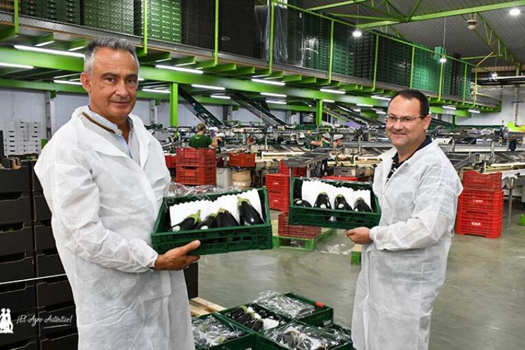 Unica Group como ejemplo de planificación de campaña