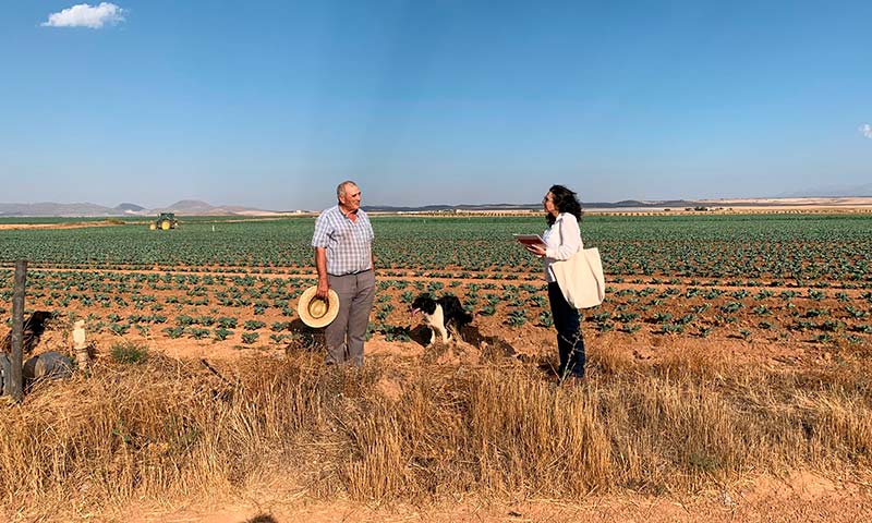 Consuelo Brígido en un campo de coliflores encuesta a un agricultor sobre el Cambio Climático. /agroautentico.com