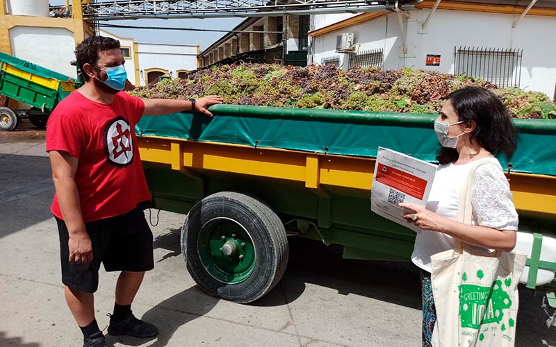 Encuesta de Consuelo Brígido sobre Cambio Climático a un agricultor de uva. /agroautentico.com