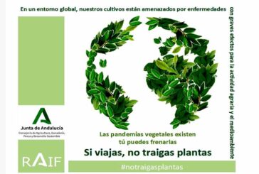 Campaña para evitar plagas en el campo: 'Si viajas, no traigas plantas'