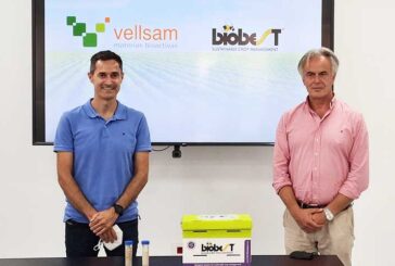 Los abejorros de Biobest portarán las materias bioactivas de Vellsam