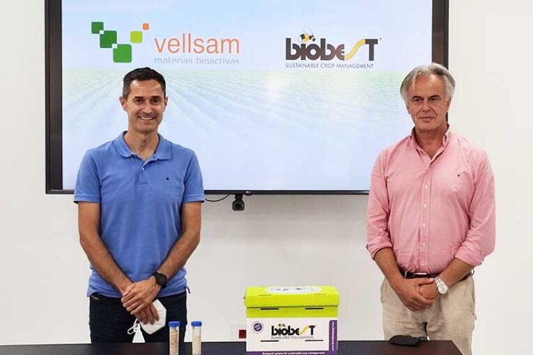 Los abejorros de Biobest portarán las materias bioactivas de Vellsam