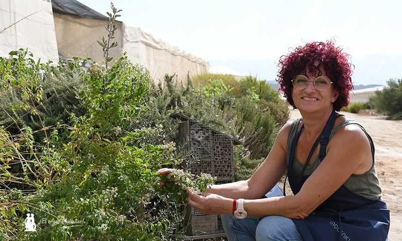 Esther Molina con hierbaluisa. /agroautentico.com